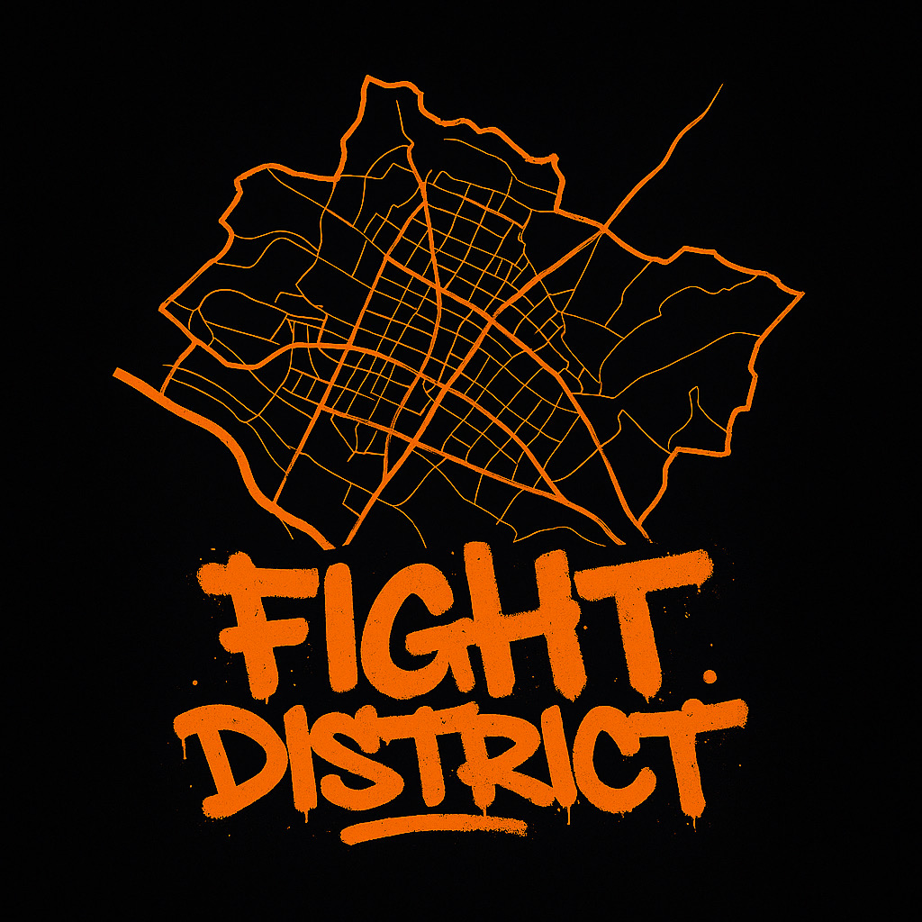 Zdjęcie wydarzenia Fight District 2